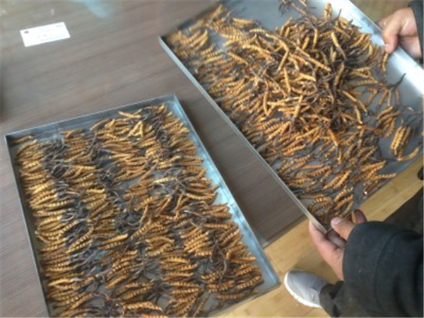 制藥凍干機(jī)中的加熱系統(tǒng)的作用是什么？