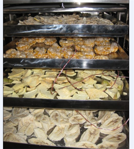 冷凍干燥機在食品凍干加工中需要注意哪些細(xì)節(jié)？